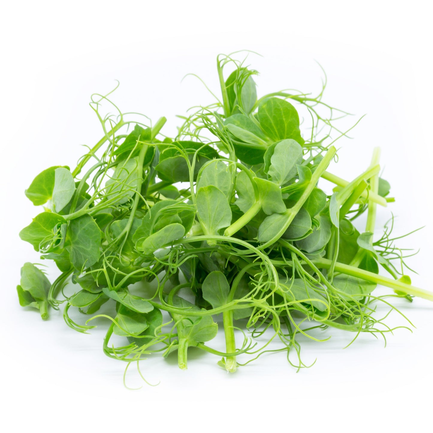 Pea Sprouts